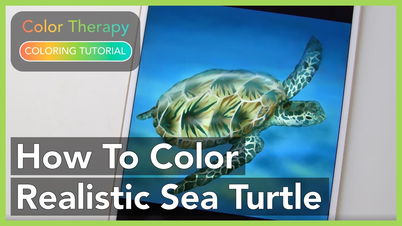 Coloring Tutorial: How to Color Realistic Sea Turtle with Color Therapy App