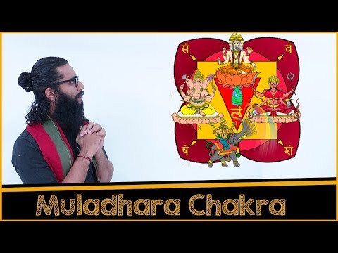 Complete Description& Activation of Muladhara from Shat Chakra Nirupanam