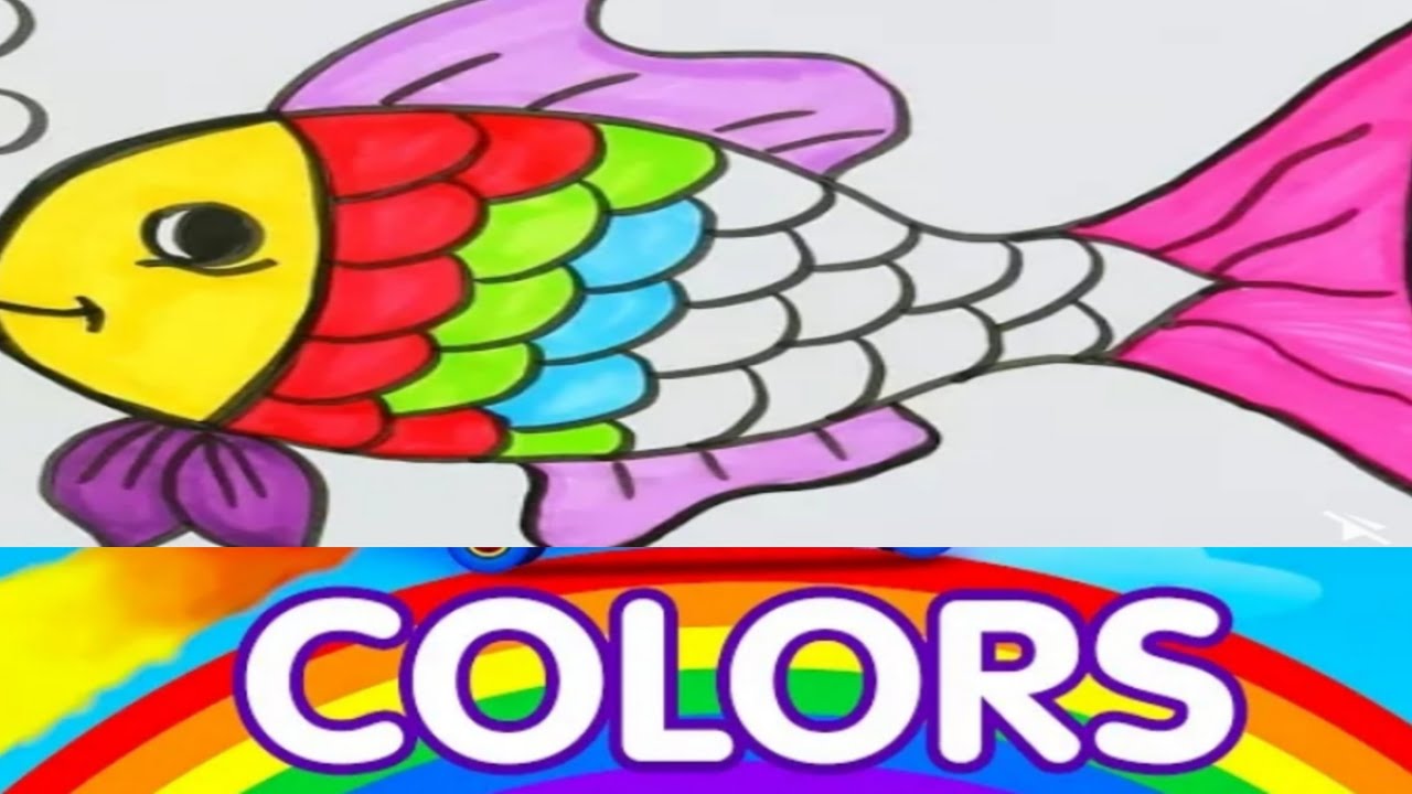 Fish Coloring Therapy @Colors TV