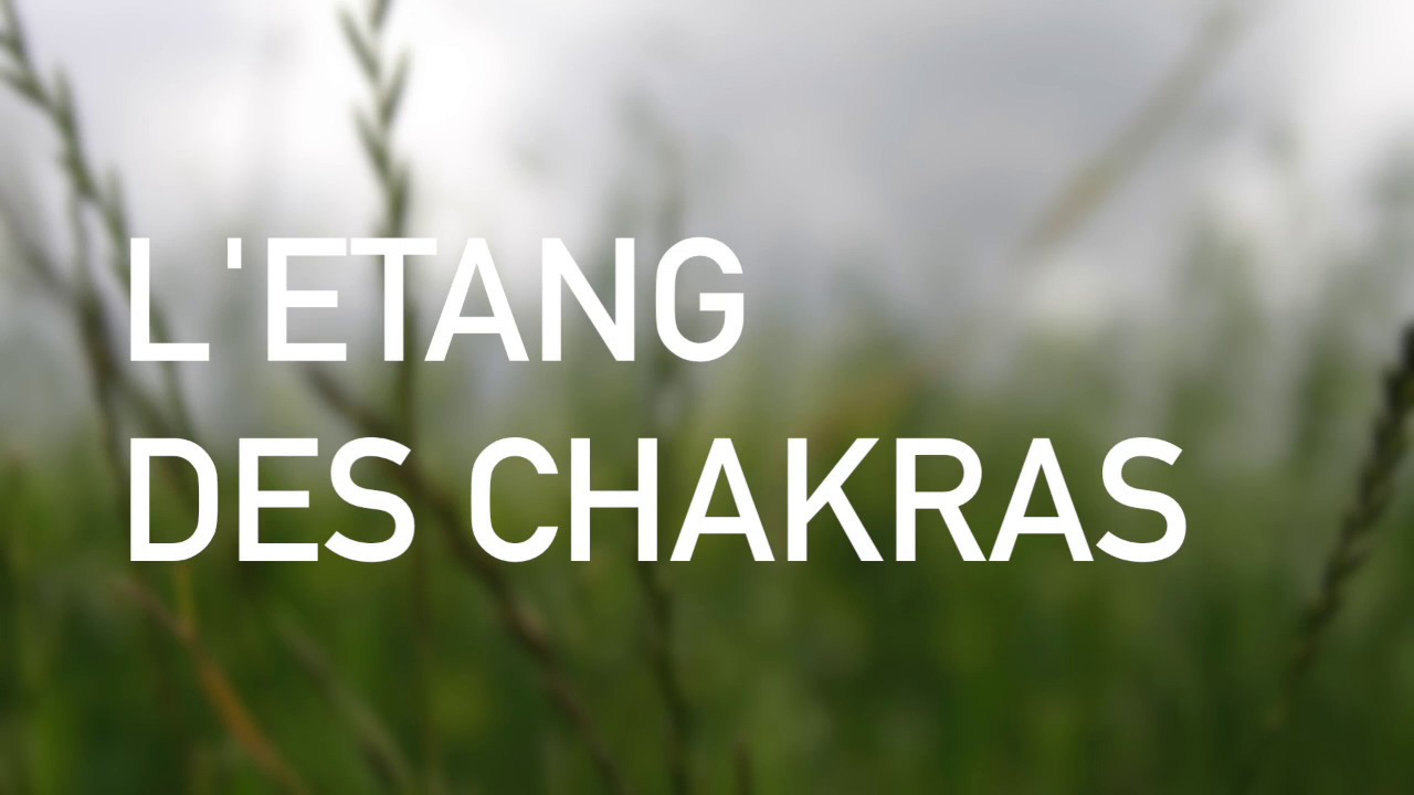 Méditation guidée - l'énergie des chakras ⟡ Ginkgo
