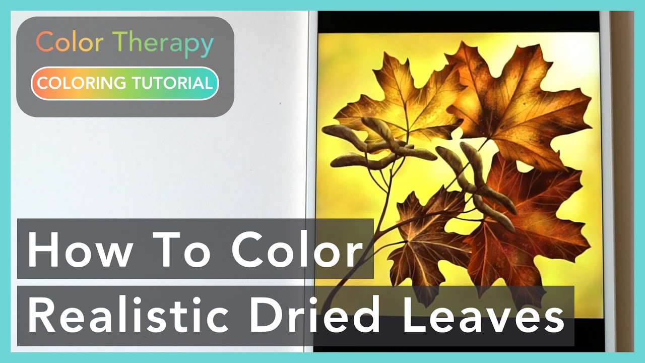 Digital Painting Tutorial: How To Color Realistic Dried Leaves | Color Therapy Adult Coloring
