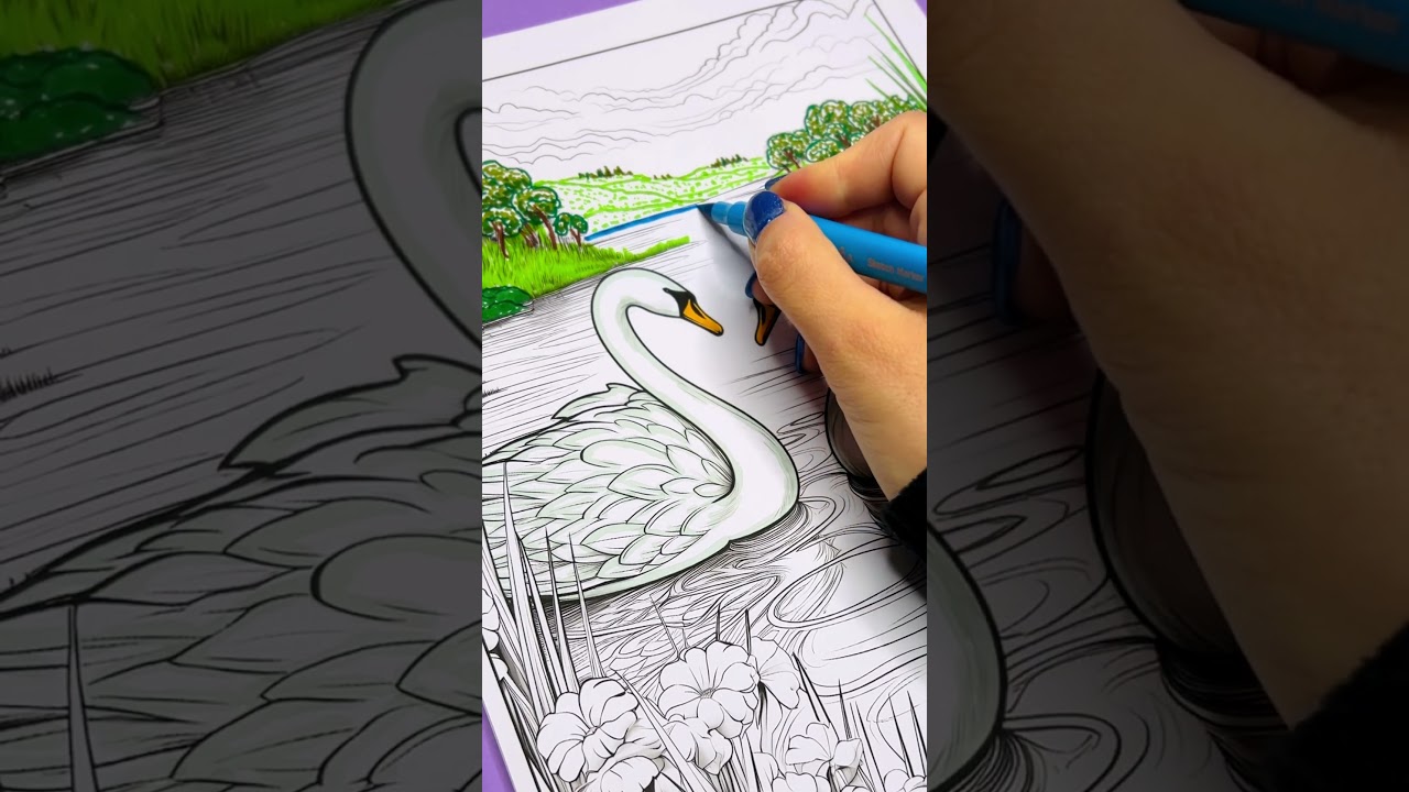 🦢 Speed Coloring Serene Swans: Love Scenes in Action 💕 #zenlines #colortherapy #amazonbooks #drawing